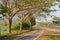 Bicycle path and road with rows tree relaxation