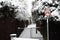 Bicycle path with sign in snow