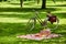 Bicycle and picnic spread in a lush green park