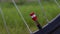 Bicycle red nipple. Detail of a used bicycle rim with valve stem and cover. Mountain bike tire. Bicycle wheel valve.