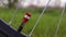 Bicycle red nipple. Detail of a used bicycle rim with valve stem and cover. Mountain bike tire. Bicycle wheel valve.