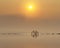 Bicycle reflection on water with sunset or sunrise