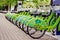 Bicycle rental system. Ecologically clean transport. bicycle sharing
