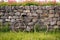 bicycle resting against stone wall, flower field backdrop