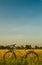 Bicycle in the rice field