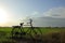 Bicycle in rice field