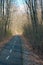 Bicycle road in the woods