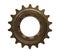 Bicycle single speed freewheel sprocket