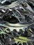 Bicycle sprockets. Background made of steel bicycle sprockets. Bike parts