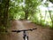 Bicycle steering wheel path forest trees