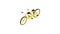 Bicycle tandem icon animation