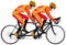 Bicycle tandem racer derby