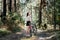 Bicycle Tourism. Road Biking Trails. Bicycles for rent. Single woman riding bike in pine forest in sunny day