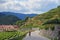 Bicycle tourist in Wachau, Austria