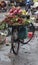 Bicycle transporting tropical fruits at a market in Hanoi in Vie