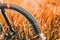 Bicycle Wheel In Dry Autumn Yellow Meadow Grass. Close Up Wheel