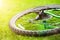 Bicycle wheel on green grass