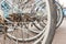 Bicycle wheels in a row parked in bike rack or rental shop, close up