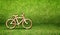 Bicycle wood icon in green grass room,Eco concept