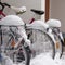 Bicycles covered with ice, big icicles and snow stand at parking near house