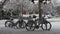 Bicycles covered with snow