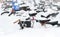 Bicycles covered with snow in big snowdrift