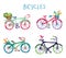 Bicycles funny romantic set with flowers and bird