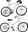 Bicycles. hand drawn illustrations.