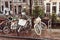 Bicycles lining a bridge over the canals of Amsterdam