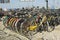 Bicycles in Mazar-e-Sharif