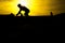 Bicycles outdoors against sunset.