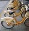 Bicycles on the paid parking lot