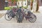 Bicycles parked on street in city