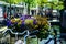 Bicycles parked in a street of city Gouda. Flowers on the foregr