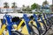 Bicycles for rent, parked in a park.