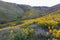 Bicycles on Sage Hills Trail, Wenatchee, Washington