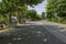 Bicycles secured to tress along a road line with trees in Dusseldorf, Germany.