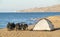 Bicycles and tent on sand beach