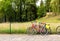 Bicycles for tourists in summer park, Europe