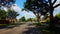 Bicyclist Rides Through City Suburb Light Intersection in Summer.  Person on Bike Driving Urban Suburban Vehicles Drive Through