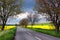 Bicyclist on a rural road in Slovakia