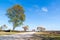 Bicyclists on cycle path and serviceberry tree in bloom, Netherlands