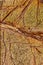 Bidasar Brown marble texture macro background
