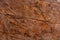 Bidasar Brown. Rainforest Brown Detail slab photo. Light brown marble, chaotic rugged dark brown and beige stripes