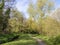 BIDEFORD, NORTH DEVON, ENGLAND - APRIL7 2020: View of Kenwith valley local nature reserve, LNR, and community park in