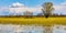 Biebrza river wetlands and nature reserve landscape with Marsh-marigold flowers in Mscichy village in Poland