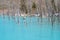 Biei Shirogane Blue Pond