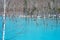Biei Shirogane Blue Pond