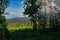 Bielsko Biala, South Poland: Sunrise sunset rays penetrating through tall trees and a wide angle shot of forests from famous hill