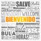 Bienvenido - Welcome in Spanish